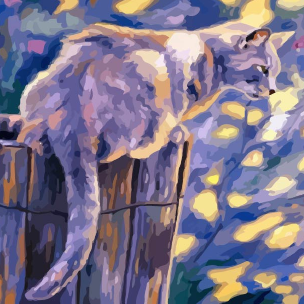 Cat on Fence at Night Paint by Numbers Close Up