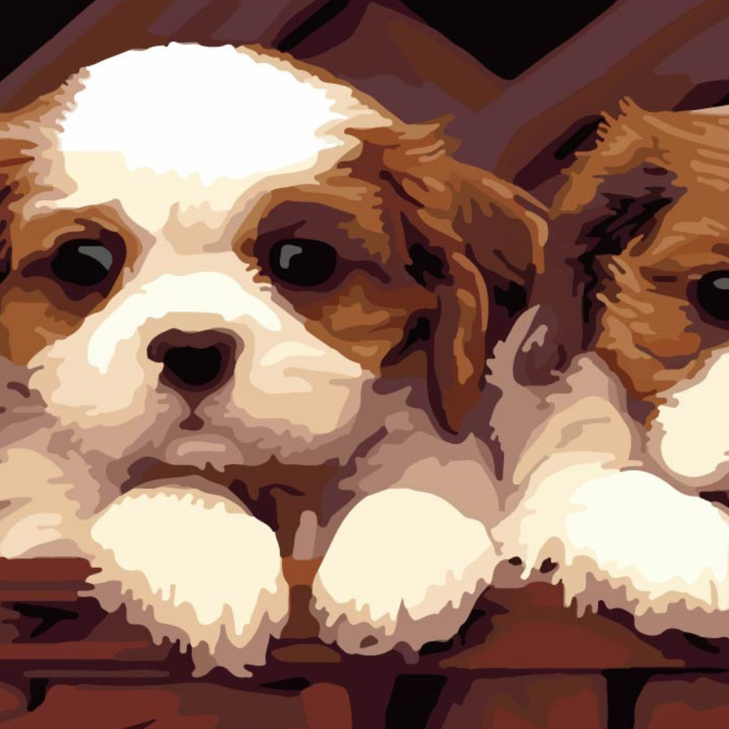 Cavalier King Charles Spaniel Puppies Paint by Numbers Close Up