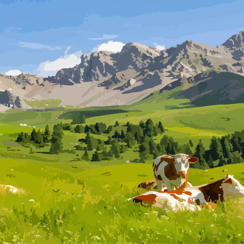 Cows in the Alps Paint by Numbers Close Up