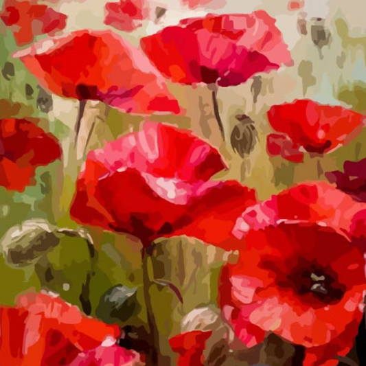 Red Poppies Impressionist Paint by Numbers Close Up
