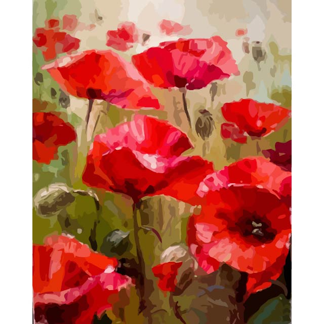 Red Poppies Paint by Numbers Kit