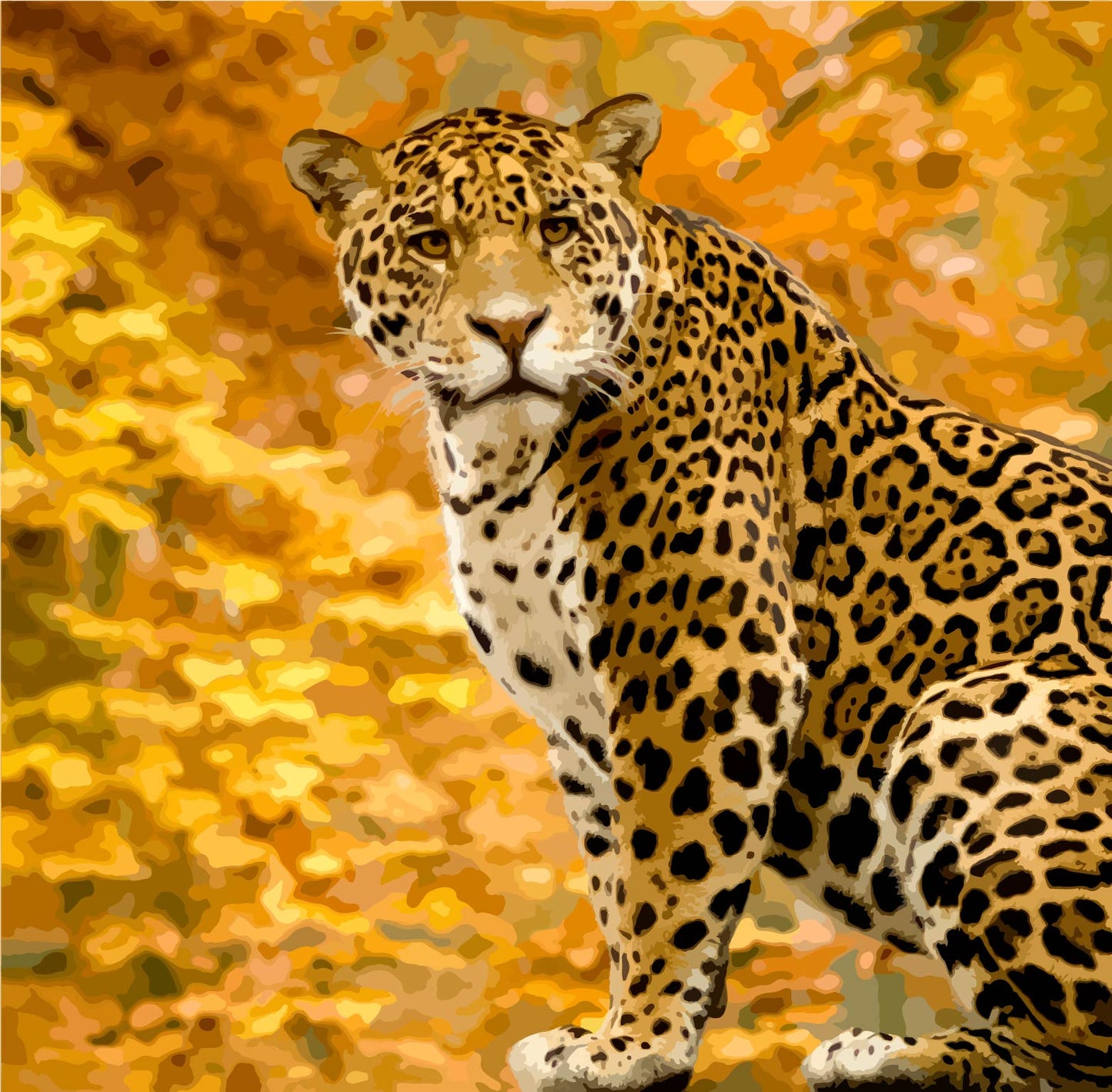 Jaguar Leopard Panther Paint by Numbers Kit