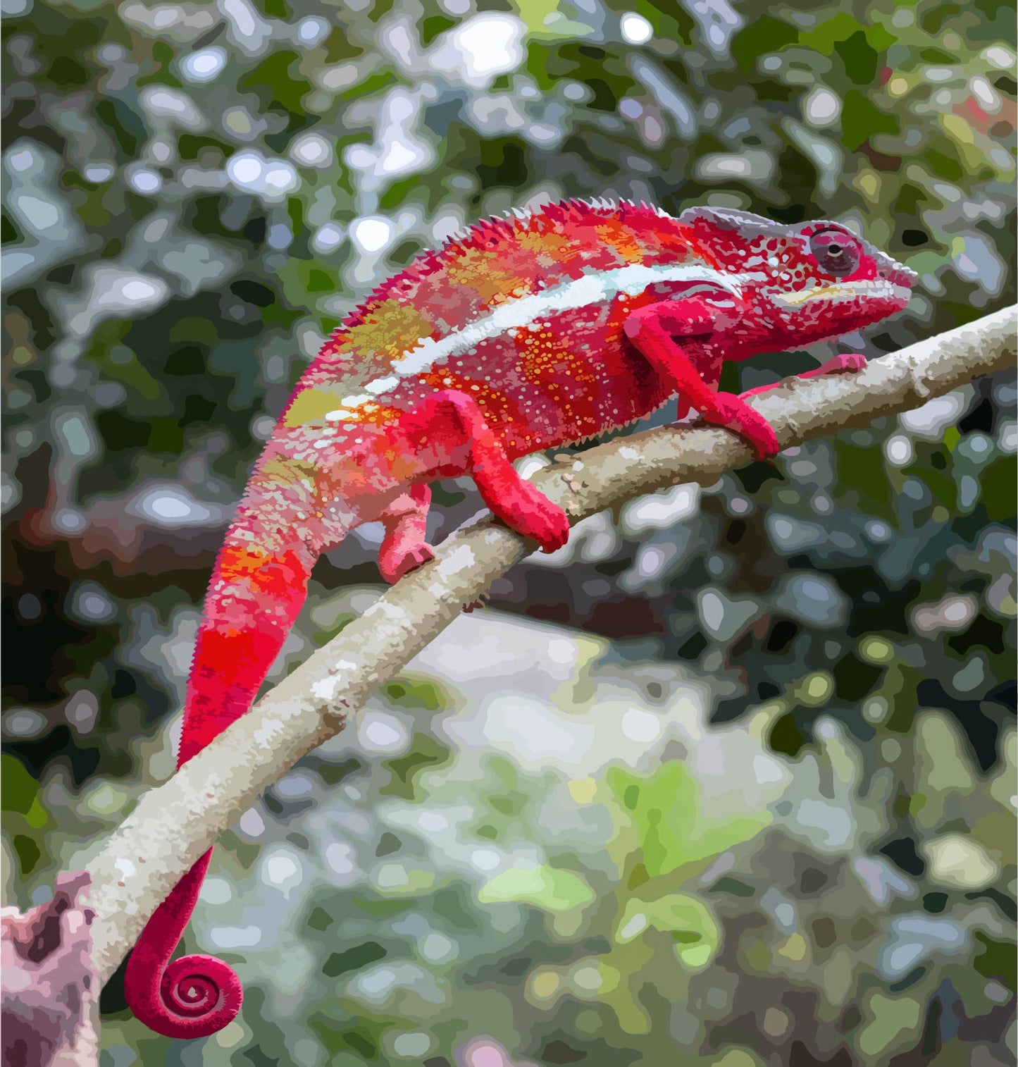 Red Panther Chameleon in Tree Paint by Numbers Kit