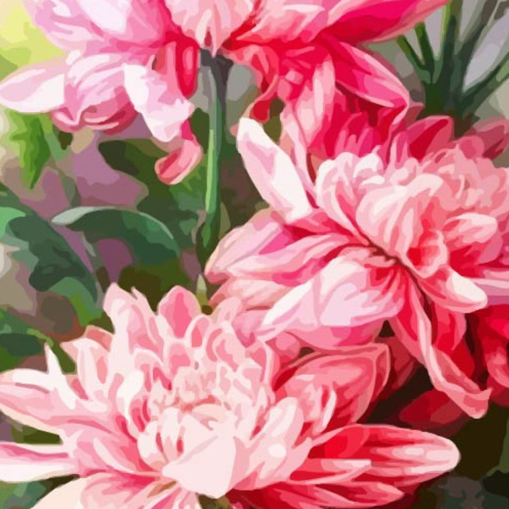 Pink Flowers Paint by Numbers Close Up