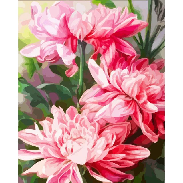 Pink Flowers Dahlias Paint by Number Kit