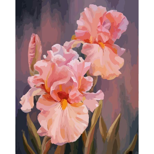 Pink Irises Paint by Numbers Kit