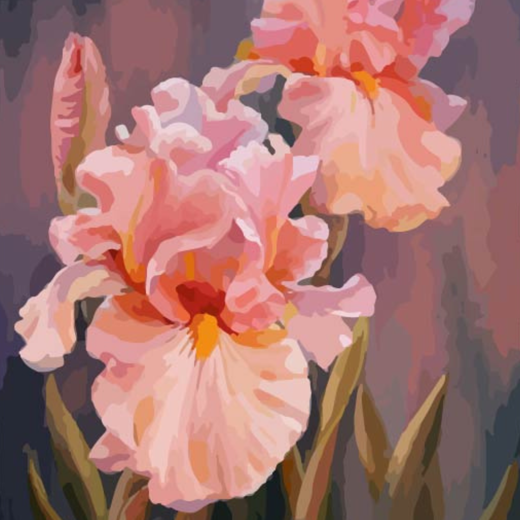 Pink Irises Paint by Numbers Close Up