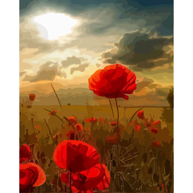 Red Poppies Under Cloudy Sky Paint by Numbers Kit