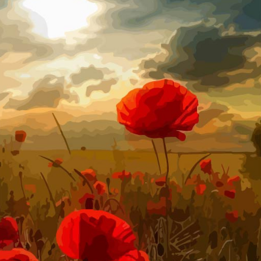 Red Poppies Cloudy Sky Paint by Numbers Close Up