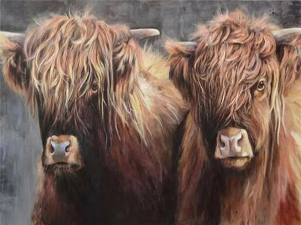 Highland Cow Paint by Numbers Set