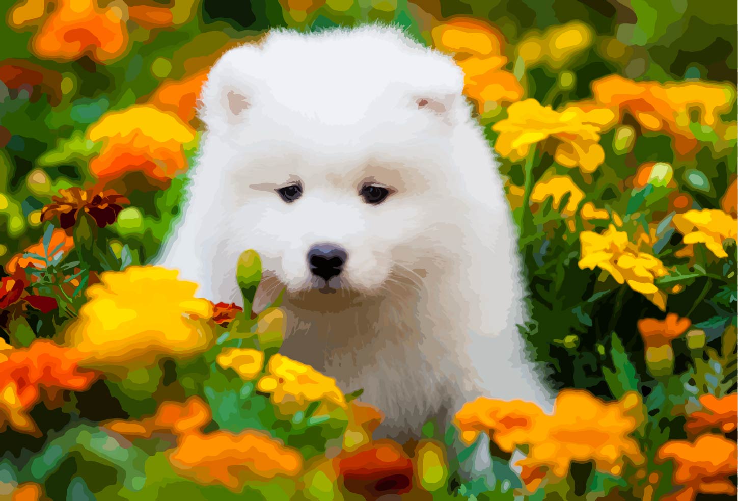 Fluffy White Puppy Samoyed Paint by Numbers Kit