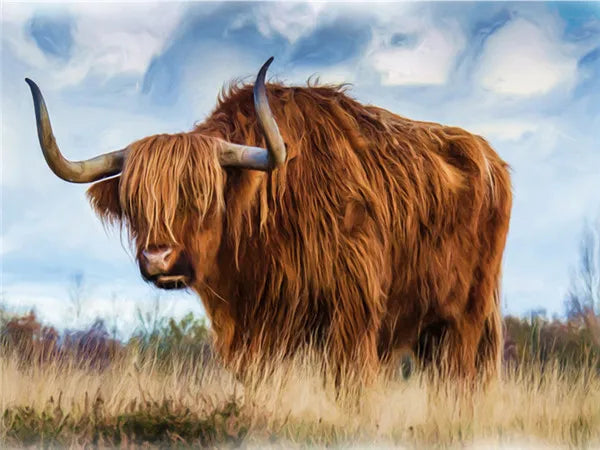 Highland Cow Paint by Numbers Set