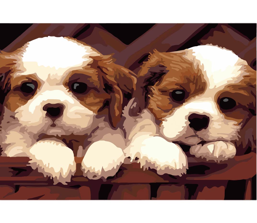 Spaniel Puppies Paint by Number Kit
