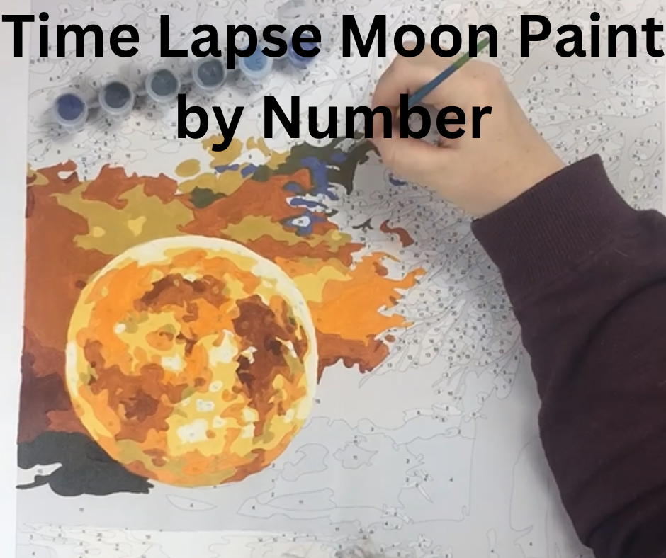 Load video: Time Lapse Paint by Numbers Painting