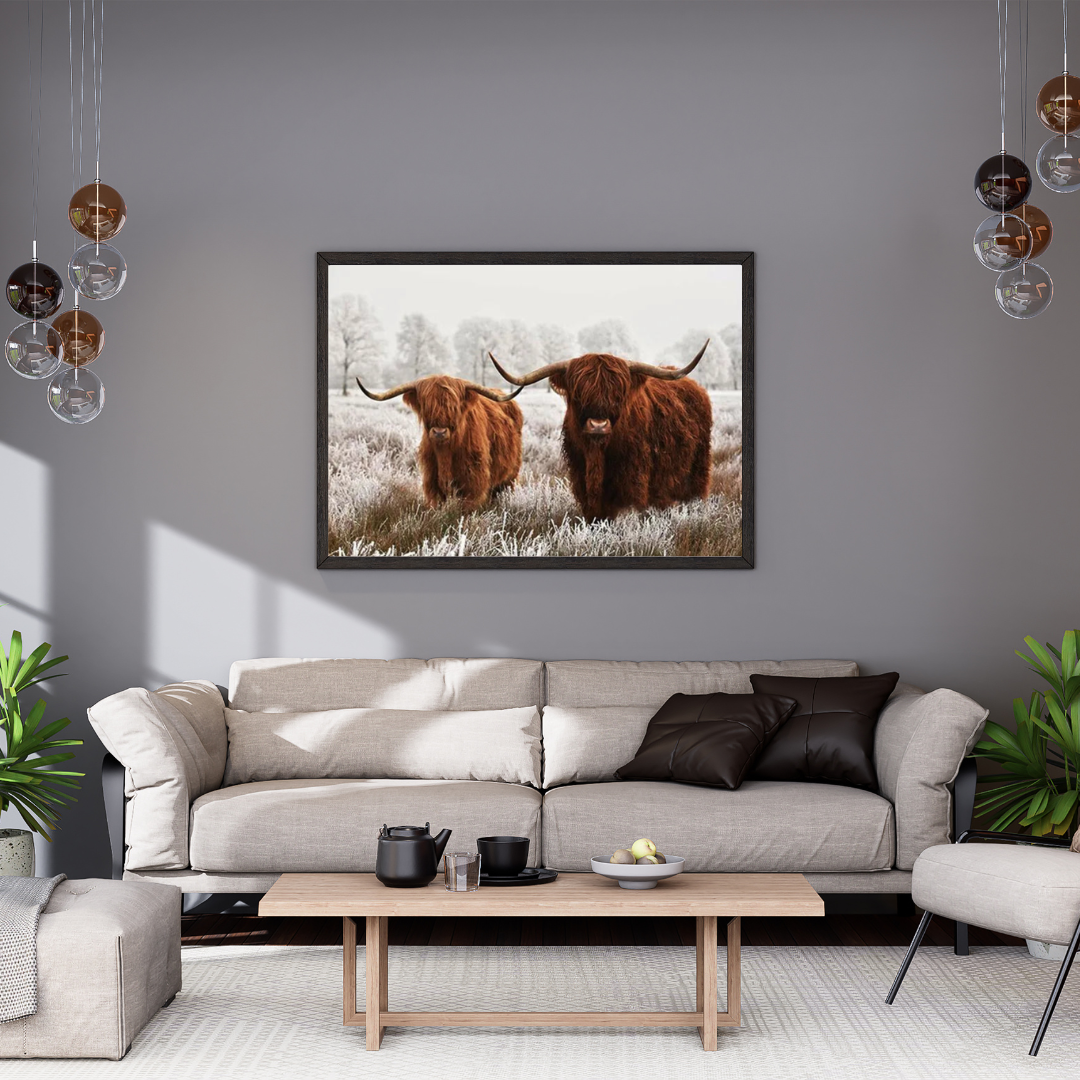 Highland Cattle Paint by Numbers Set