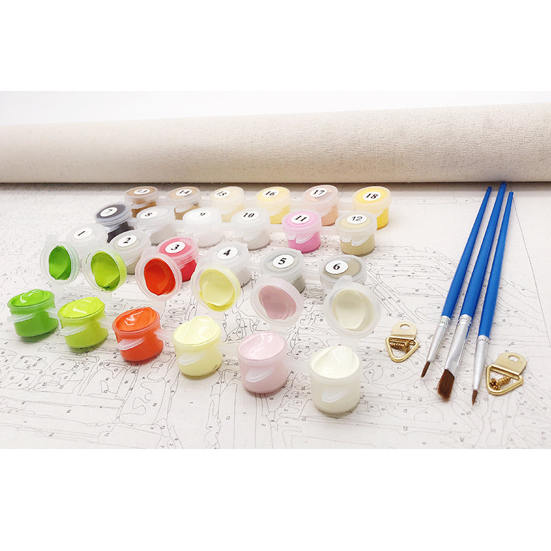 Paints, Brushes and Canvas for Paint by Numbers Kit