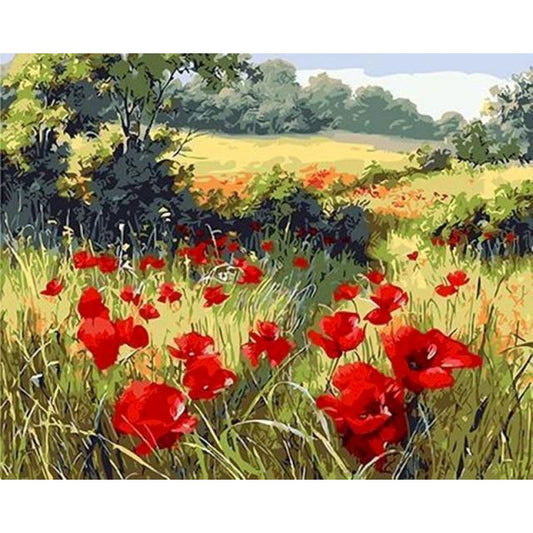 Field of Poppies Flowers Paint by Numbers Kit